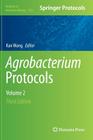 Agrobacterium Protocols: Volume 2 (Methods in Molecular Biology #1224) By Kan Wang (Editor) Cover Image