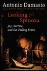 Looking for Spinoza: Joy, Sorrow, and the Feeling Brain Cover Image