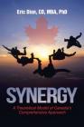 Synergy: A Theoretical Model of Canada's Comprehensive Approach Cover Image