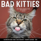 Bad Kitties 2025 12 X 12 Wall Calendar By Willow Creek Press Cover Image