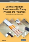 Electrical Insulation Breakdown and Its Theory, Process, and Prevention: Emerging Research and Opportunities By Boxue Du Cover Image