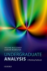 Undergraduate Analysis: A Working Textbook Cover Image