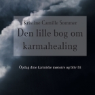 Den lille bog om karma-healing By Kristine Camille Sommer Cover Image