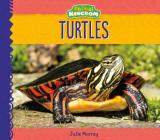 Turtles (Animal Kingdom) Cover Image