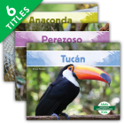 Animales Sudamericanos (Set)  Cover Image