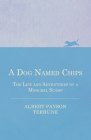 A Dog Named Chips - The Life and Adventures of a Mongrel Scamp Cover Image