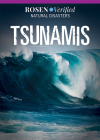 Tsunamis By Jennifer Lombardo Cover Image