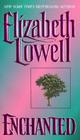 Enchanted (Medieval Series #3) By Elizabeth Lowell Cover Image