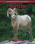 Mufflon: Sagenhafte Fakten und Bilder By Louise McGuire Cover Image