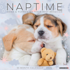 Naptime (Dogs & Puppies) 2024 12 X 12 Wall Calendar By Willow Creek Press Cover Image