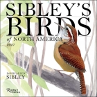 Sibley's Birds of America 2027 Wall Calendar By David Allen Sibley Cover Image
