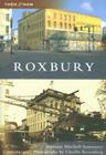 Roxbury (Then and Now) By Anthony Mitchell Sammarco, Charlie Rosenberg (Photographer) Cover Image