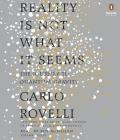 Reality Is Not What It Seems: The Journey to Quantum Gravity By Carlo Rovelli, Simon Carnell (Translated by), Erica Segre (Translated by), Roy McMillan (Read by) Cover Image