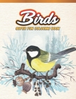Birds Super Fun Coloring Book: Bird Lovers Coloring Book with 45 Gorgeous Peacocks, Hummingbirds, Parrots, Flamingos, Robins, Eagles, Owls Bird Desig Cover Image