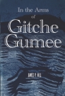 In The Arms Of Gitche Gumee: The Political Journey Of Evangeline LeBlanc By James P. Hill Cover Image