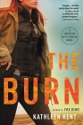 The Burn (Detective Betty #2) Cover Image