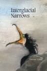 Interglacial Narrows By Pierre Joris Cover Image