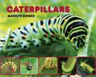 Caterpillars By Marilyn Singer Cover Image