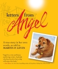 Letters from Angel: A True Story In her Own Words By Martin P. Levin Cover Image