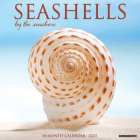 Seashells 2023 Wall Calendar Cover Image
