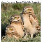Greg Lasley’s Texas Wildlife Portraits (Louise Lindsey Merrick Natural Environment Series #42) By Greg W. Lasley, John L. Tveten (Introduction by), Gloria Tveten (Introduction by) Cover Image