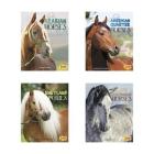 Horse Breeds By Carrie A. Braulick, David Denniston, John Diedrich Cover Image