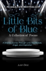 Little Bits of Blue: A Collection of Poems By Juan Carlos Diaz Cover Image