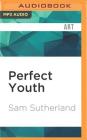 Perfect Youth: The Birth of Canadian Punk By Sam Sutherland, Kiff Vandenheuvel (Read by) Cover Image