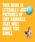 This Book Is Literally Just Pictures of Tiny Animals That Will Make You Smile By Smith Street Books Cover Image