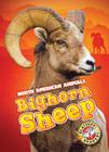 Bighorn Sheep (North American Animals) By Megan Borgert-Spaniol Cover Image