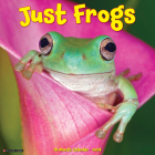 Just Frogs 2024 12 X 12 Wall Calendar By Willow Creek Press Cover Image