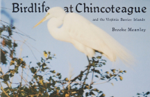 Birdlife at Chincoteague and the Virginia Barrier Islands By Brooke Meanley Cover Image