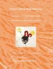 Elektrizität & Magnetismus: Diagramme der Physik Experimente für Freie Studienmodule & Wohnen-Schule By M. Schottenbauer Cover Image