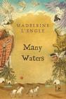 Many Waters (A Wrinkle in Time Quintet #3) By Madeleine L'Engle Cover Image