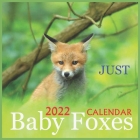 Just Baby Foxes CALENDAR 2022: OFFICIAL BABY FOXES CALENDAR 2022, Squire calendar,12 months, Wild Animals By Calendar 2022 Pub Print Cover Image