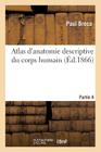 Atlas d'Anatomie Descriptive Du Corps Humain. Partie 4 (Sciences) By Paul Broca, Constantin-Louis Bonamy Cover Image
