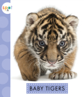 Baby Tigers (Spot) Cover Image