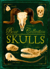Bone Collection: Skulls By Camilla de la Bédoyère, Sandra Doyle (Illustrator) Cover Image