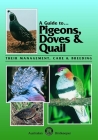 A Guide to Pigeons, Doves & Quail: Their Management, Care & Breeding By Danny Brown Cover Image
