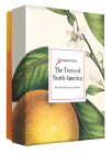 The Trees of North America: A Detailed Notes notecard box By Editors of Abbeville Press Cover Image
