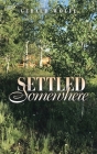 Settled Somewhere By Gerald Wolfe Cover Image