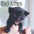 Black Kittens Calendar: 2021 Monthly Planner By Patches And Me Cover Image