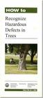 How to Recognize Hazardous Defects in Trees By Forest Service (U S ) Northeastern Area (Compiled by) Cover Image