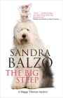 The Big Steep (Maggy Thorsen Mystery #14) By Sandra Balzo Cover Image