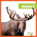 Moose (My First Animal Library) By Cari Meister Cover Image