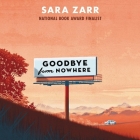 Goodbye from Nowhere By Sara Zarr, Michael Crouch (Read by) Cover Image