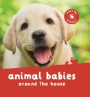 Animal Babies Around the House By Editors of Kingfisher Cover Image