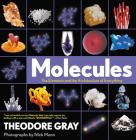 Molecules: The Elements and the Architecture of Everything By Theodore Gray, Nick Mann (Photographs by) Cover Image