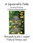 A Squirrel's Tale, the Story of Charlie, a California Ground Squirrel By John D. Weigand (Photographer), Penelope Dyan Cover Image