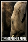 Terminplaner 2020: Jahresplaner von September 2019 bis Dezember 2020 mit Elefant - Planer mit 174 Seiten in weiß im Format A5 mit glänzen By Elefanten Kalender Cover Image